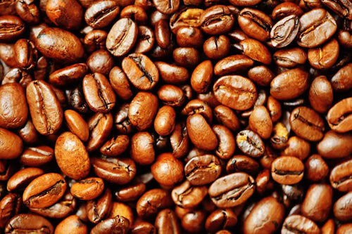 How To Avoid Oily Coffee Beans - DarkHorseCoffeeCompany
