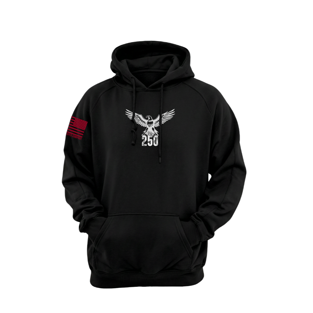America 250 Black pullover hoodie featuring the America 250 design — designed and printed in Florida by an American-owned small business.