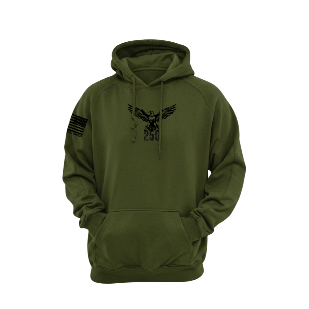 America 250 Military Green pullover hoodie featuring the America 250 design — designed and printed in Florida by an American-owned small business.