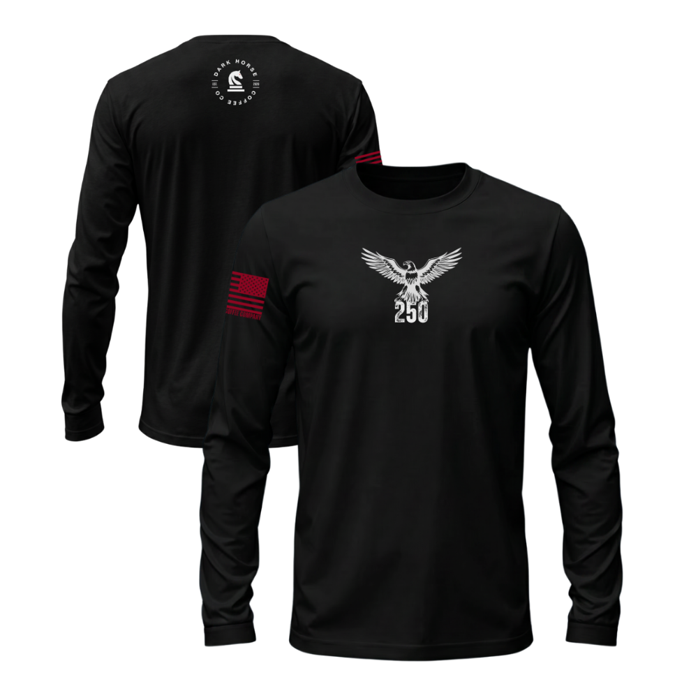 America 250 Black long sleeve t-shirt featuring the America 250 design — designed and printed in Florida by an American-owned small business.